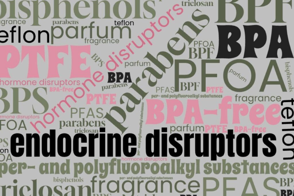 Word art graphic with the phrase ‘endocrine disruptors’ surrounded by names of common endocrine disrupting chemicals.