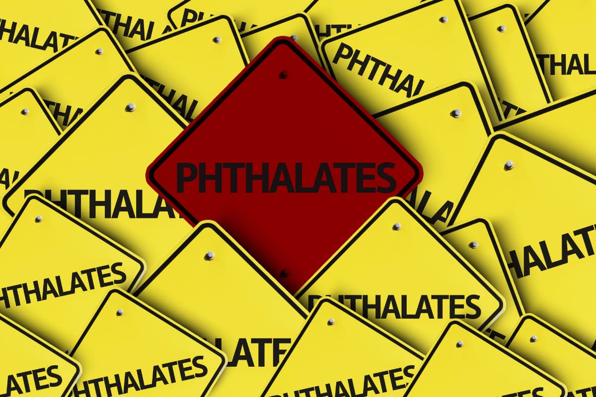 Phthalates written on multiple road sign, including a red sign, indicating warning