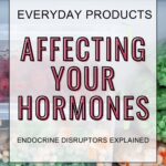 Text overlay on food in plastic containers reads, “Everyday Products Affecting Your Hormones: Endocrine Disruptors Explained.”
