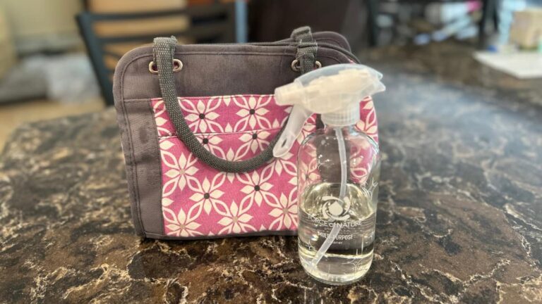 Force of Nature toxin-free cleaning products being used to clean a pink lunchbox during back to school season.